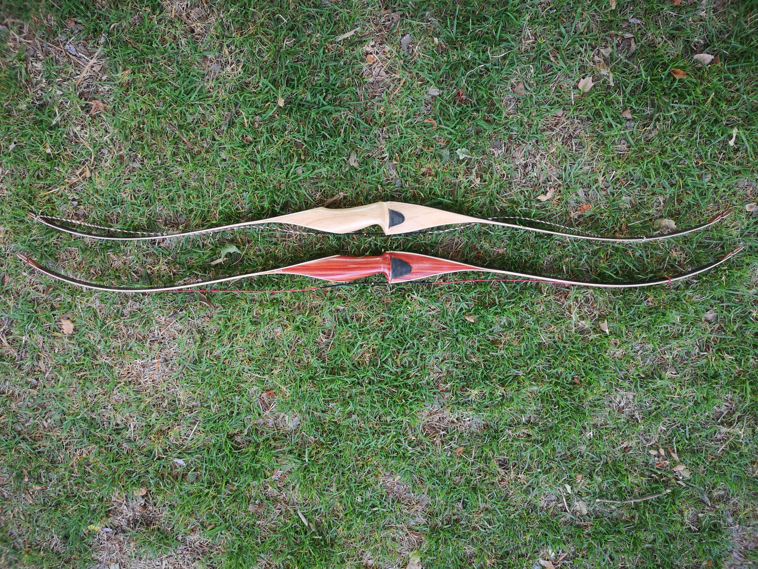 Celeri Hybrid Mini - Image 5