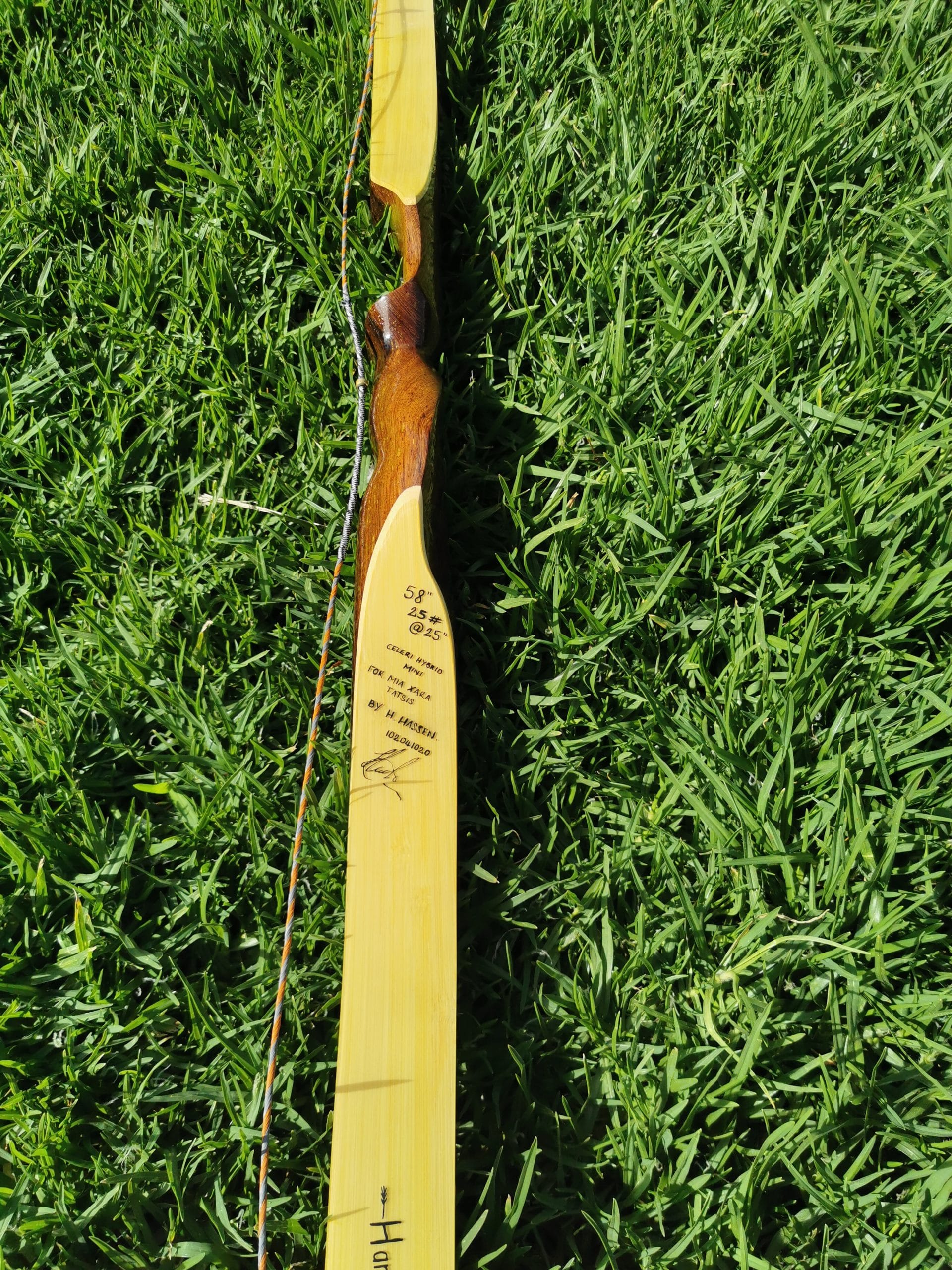 Celeri Hybrid Mini - Image 6