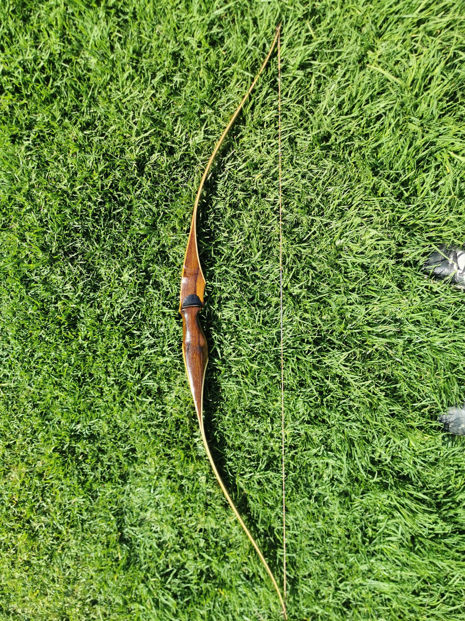 Celeri Hybrid Mini