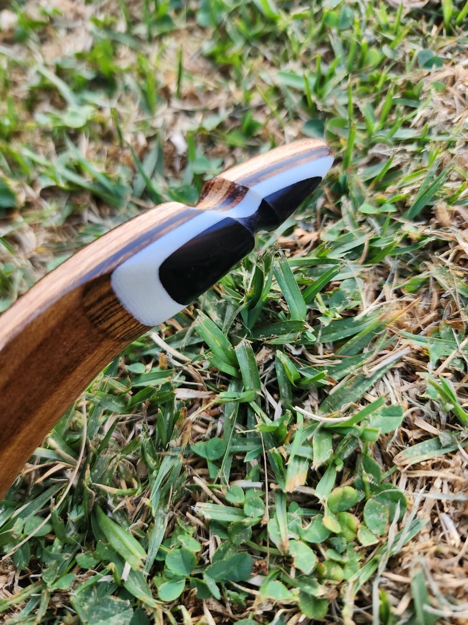 Firefox Interchampion - Image 5