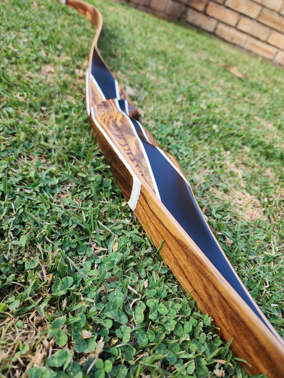 Firefox Interchampion - Image 3